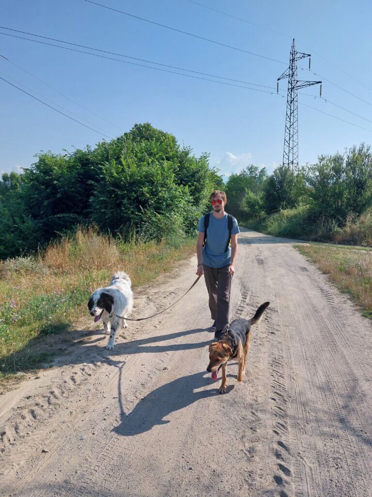 Daniel walking two dogs on a country road in Bulgaria