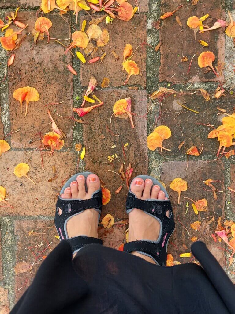 top-down shot of Mirka's walking sandals on a street with Autumn-coloured gingko leaves around - one of the best Songkran tips and tricks