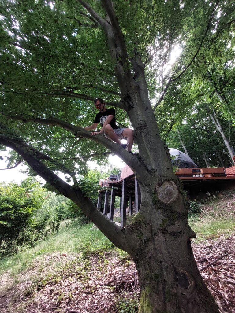Daniel, up on a tree with the geodome in the background