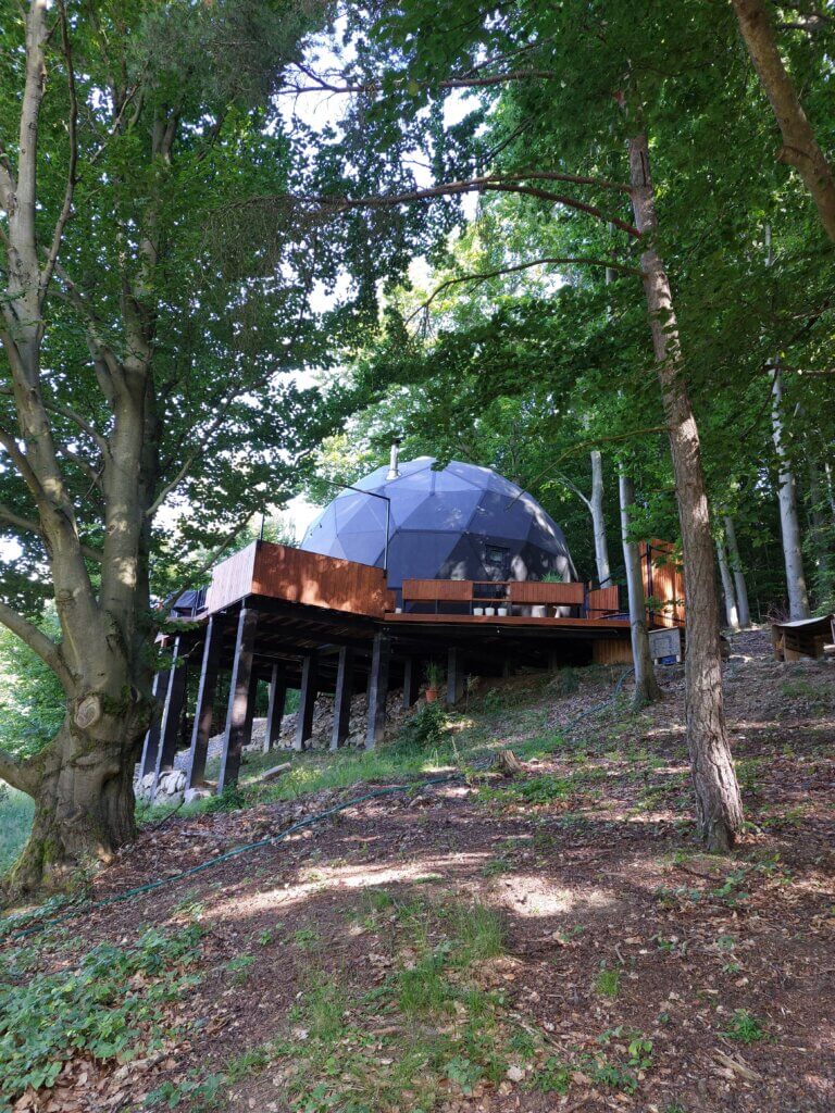 Dome structure in a forest