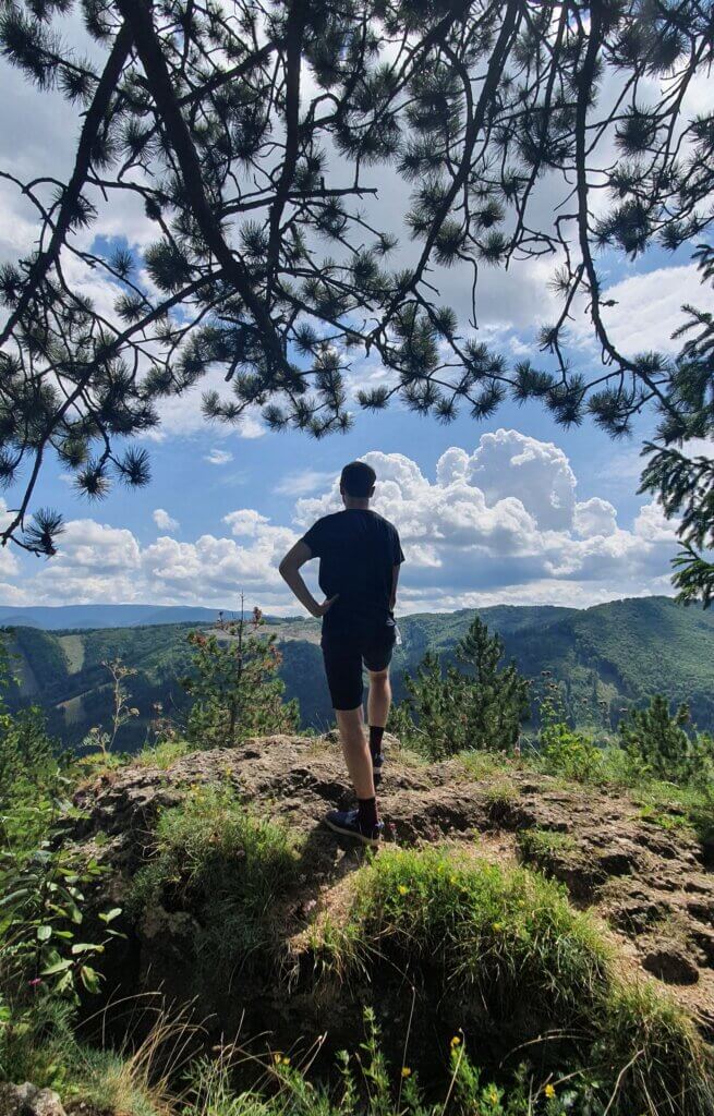 Daniel standing on a rock looking out at the hills in front