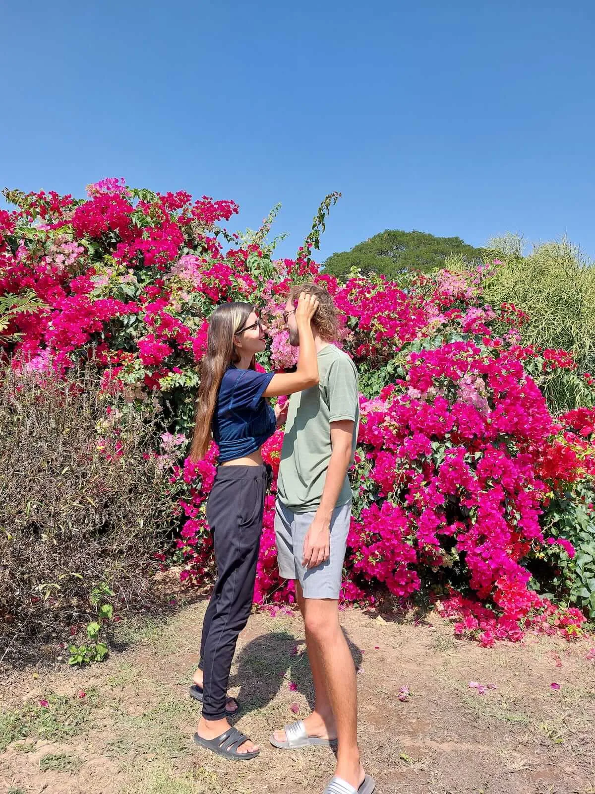Home 7 Mirka and Daniel posing in front of a flower bush