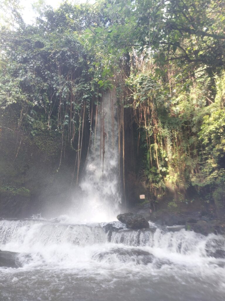 A waterfall in Bali