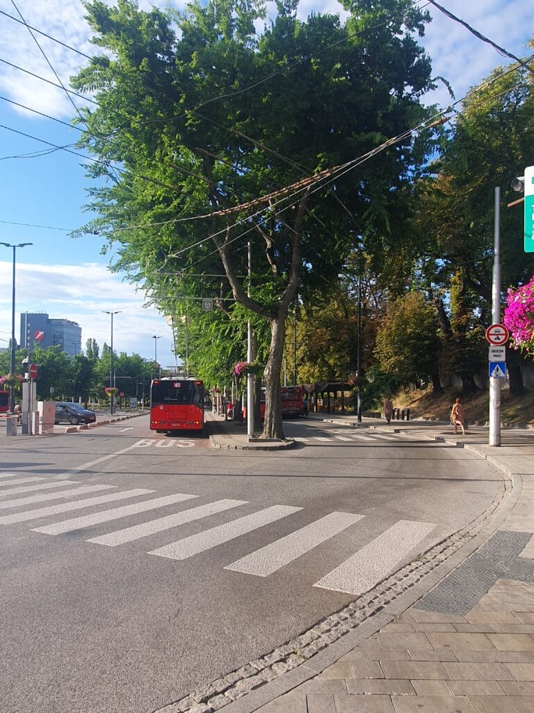 Buses at Bratislava train station