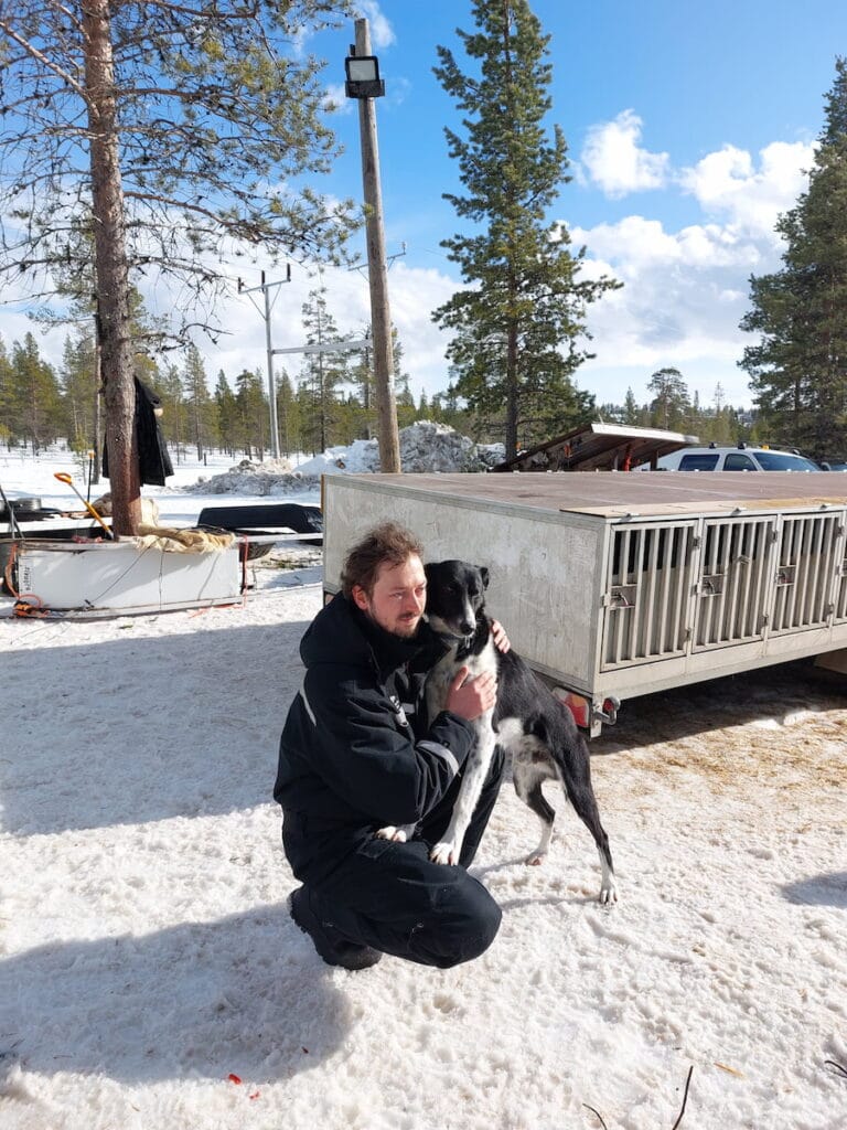 Not a husky-looking husky