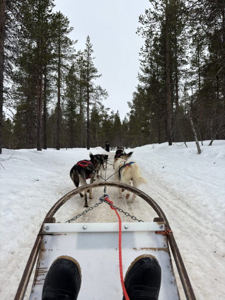 Husky ride