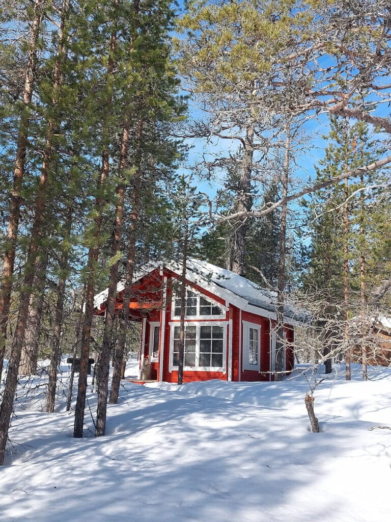 Red cabin in a snowy forest