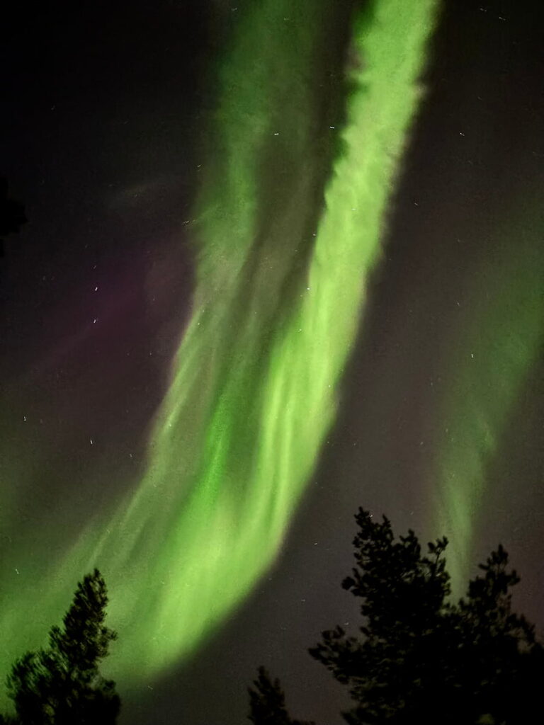 Northern Lights