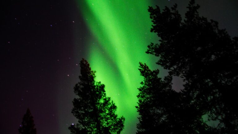 Northern Lights