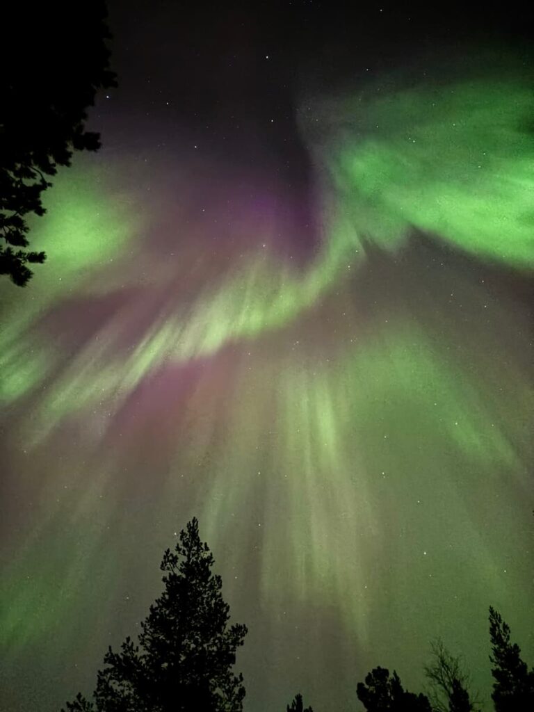 Aurora