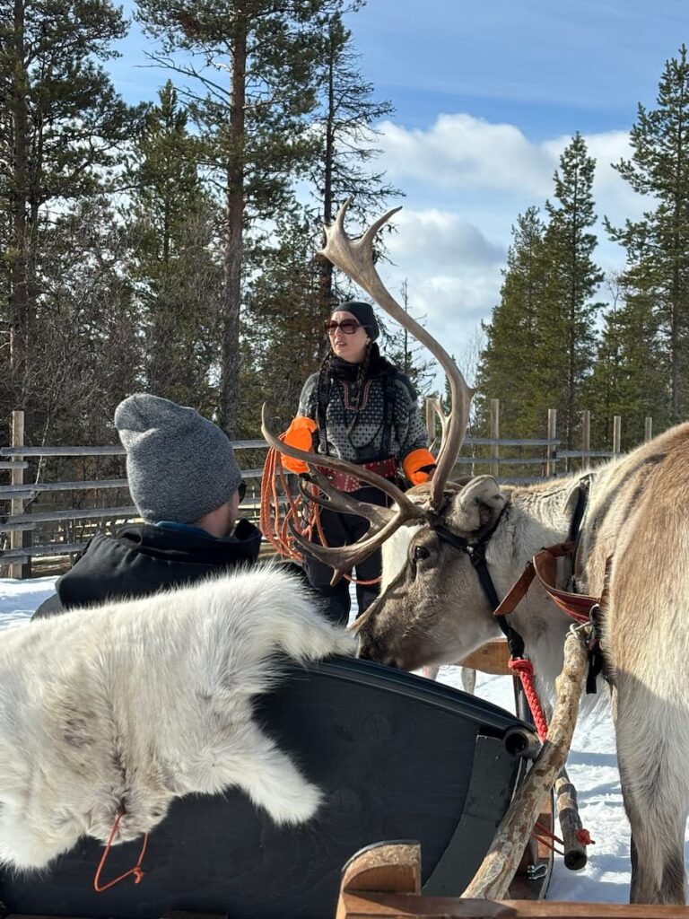 Daniel in a reindeer sleigh with a reindeer coming close to him