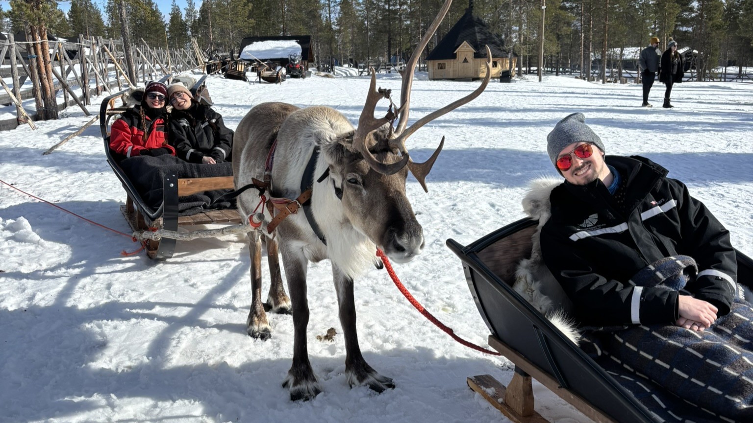 Finland Saariselka NLV Reindeer Us Featured