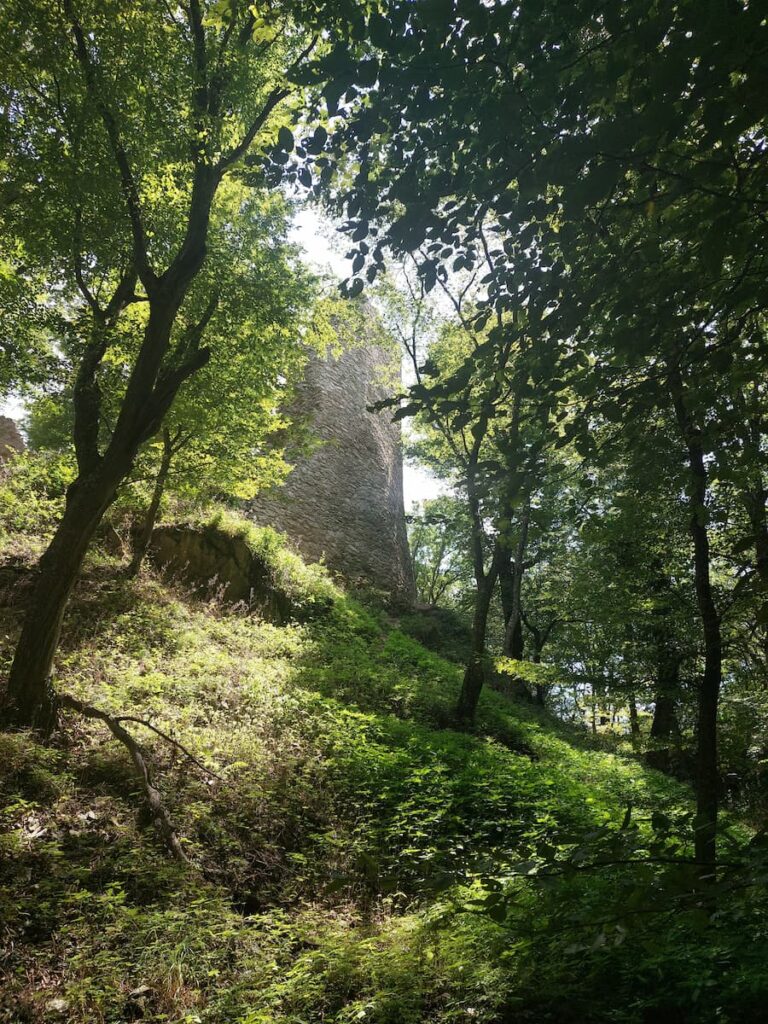 5 Best Cities to Visit from Bratislava—Easy Guide 19 Old castle tower in a forest