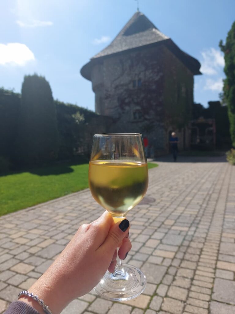 Do you need cash in Slovakia? Essential tips from a local 3 Wine glass in a castle courtyard
