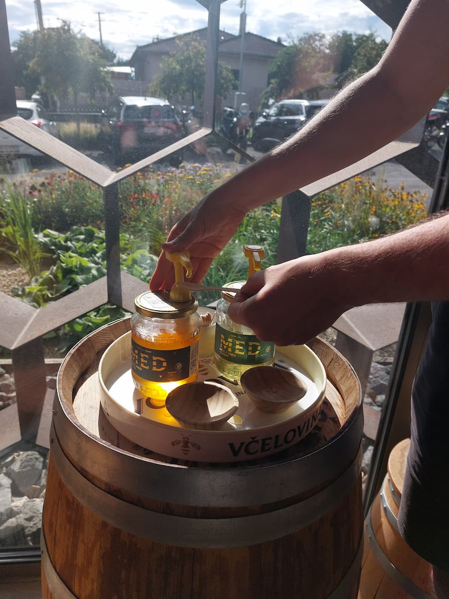 Honey tasting at Vcelovina, Smolenice