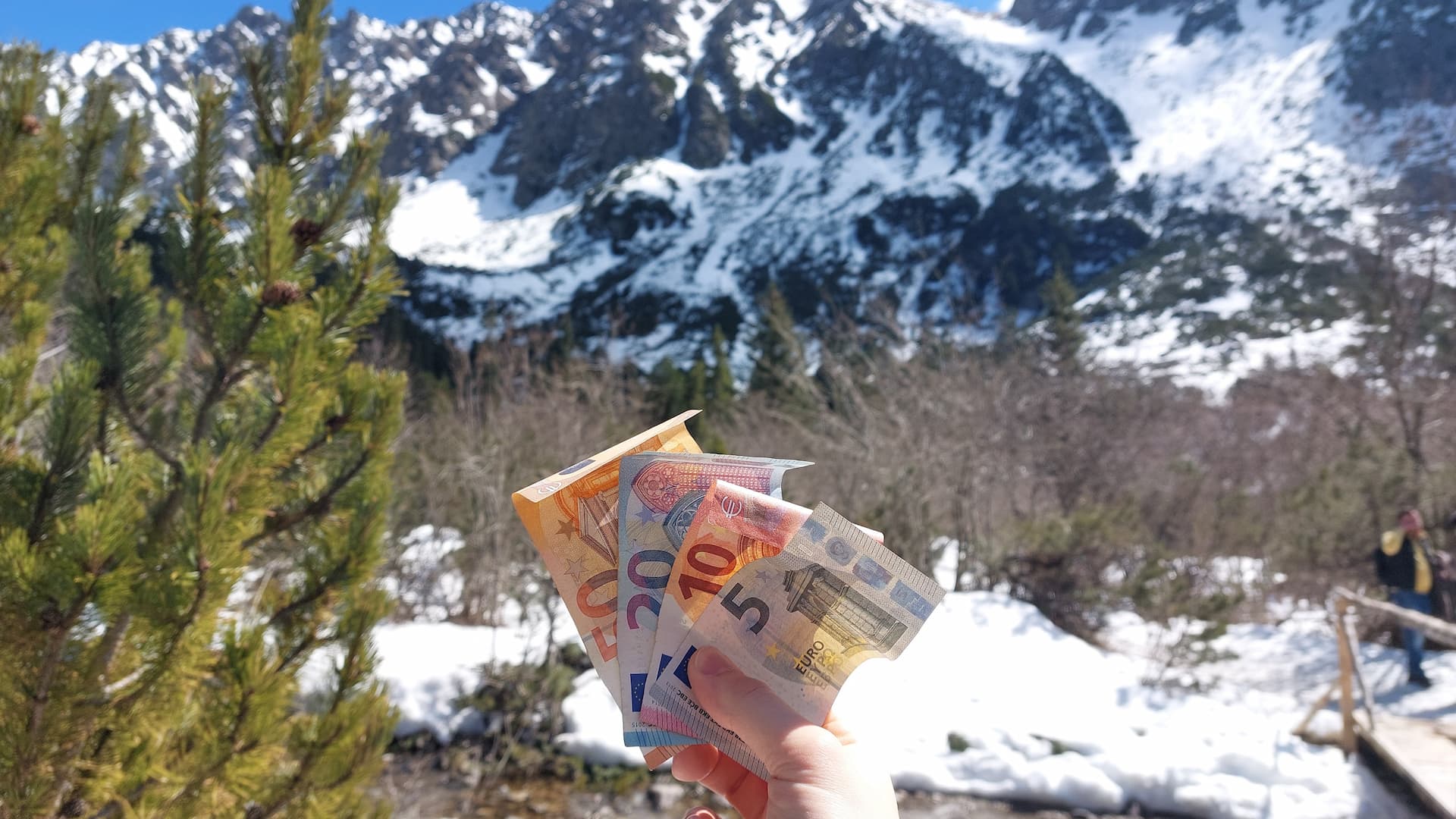 Euros in the High Tatras