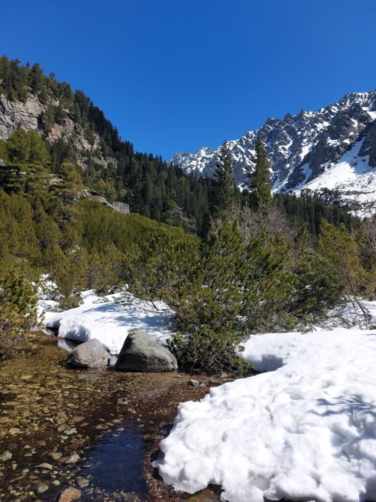 Green hill next to a snowy mountain
