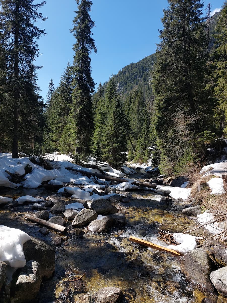 Stream in the High Tatras in spring