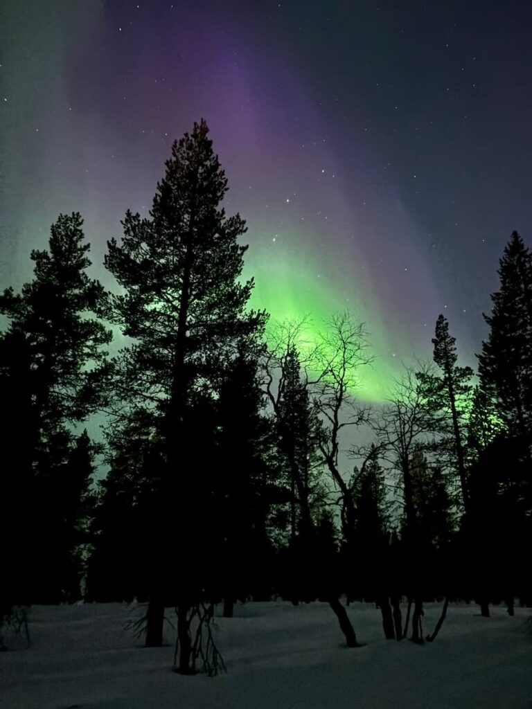 Northern Lights over a forest in Lapland