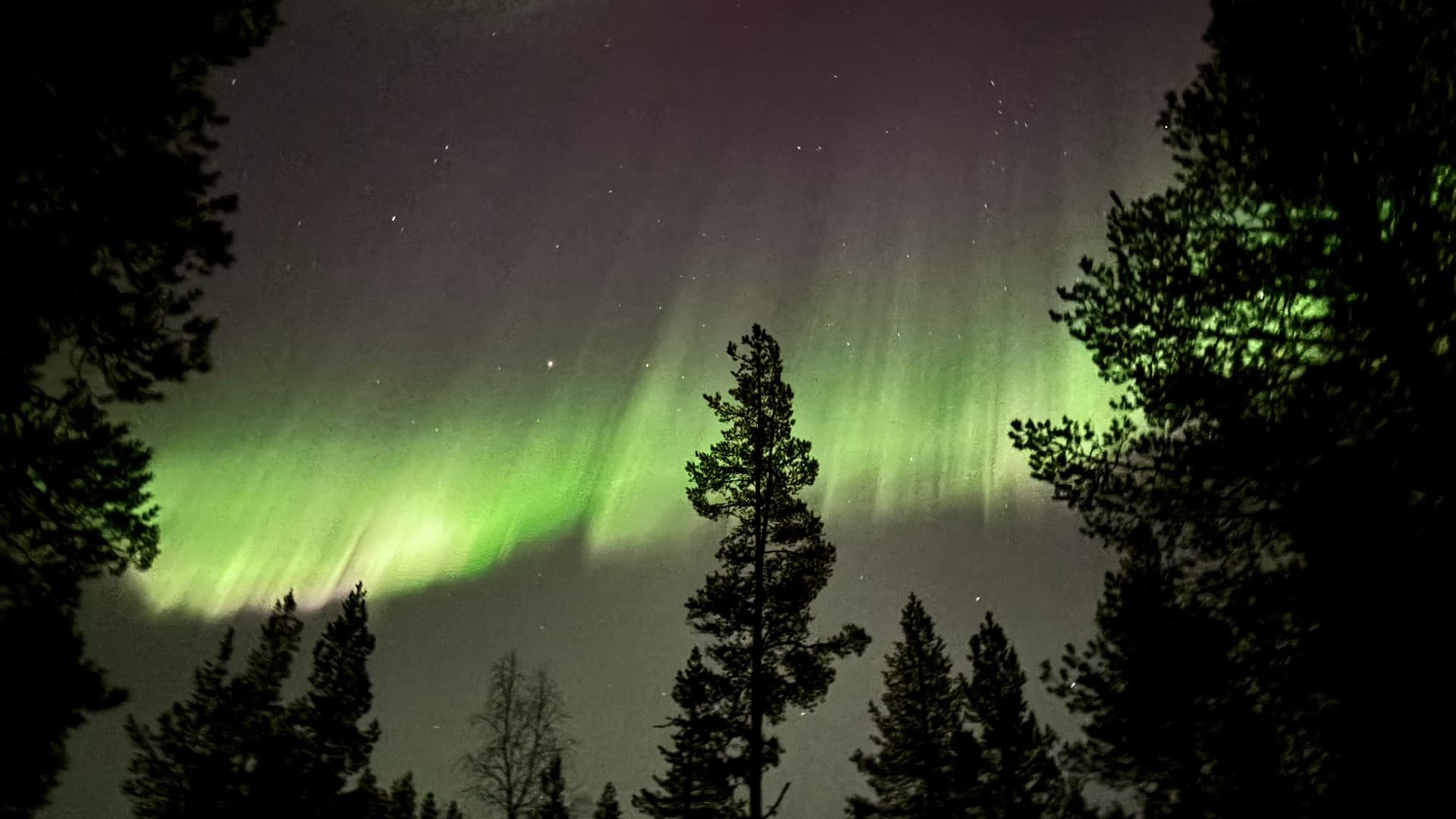 Northern Lights