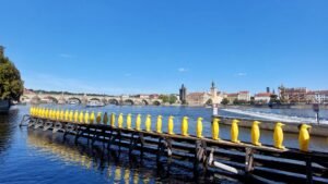 Penguins in Prague