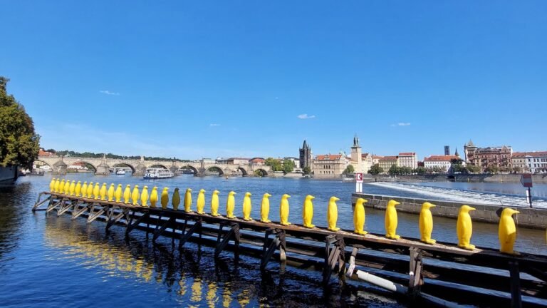 Paternoster Elevator in Prague: All You Need to Know 21 Penguins in Prague