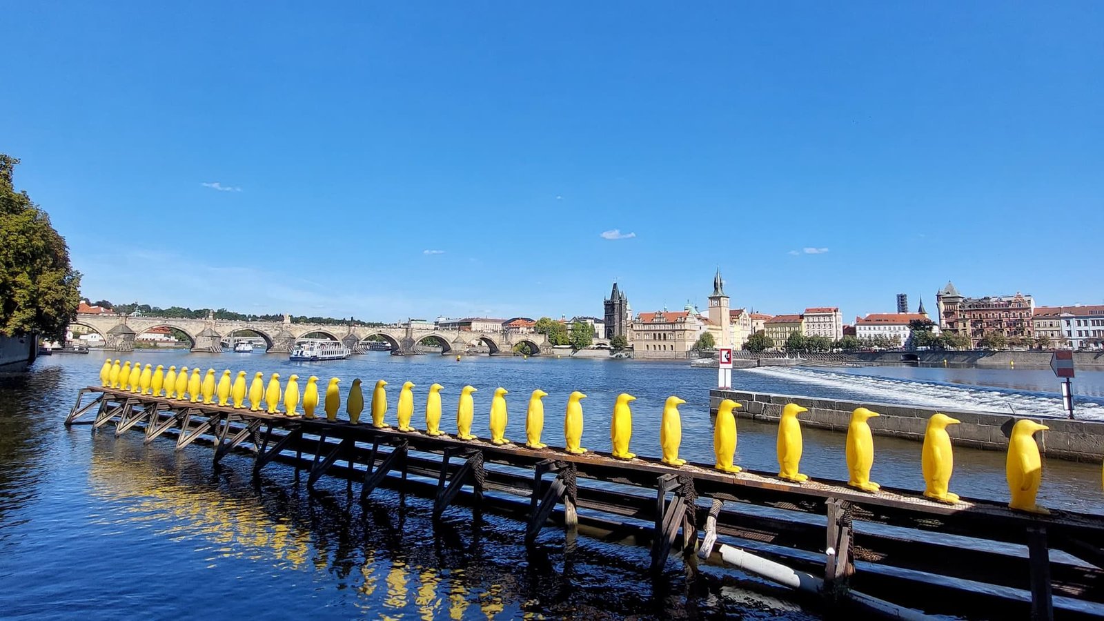 Penguins in Prague
