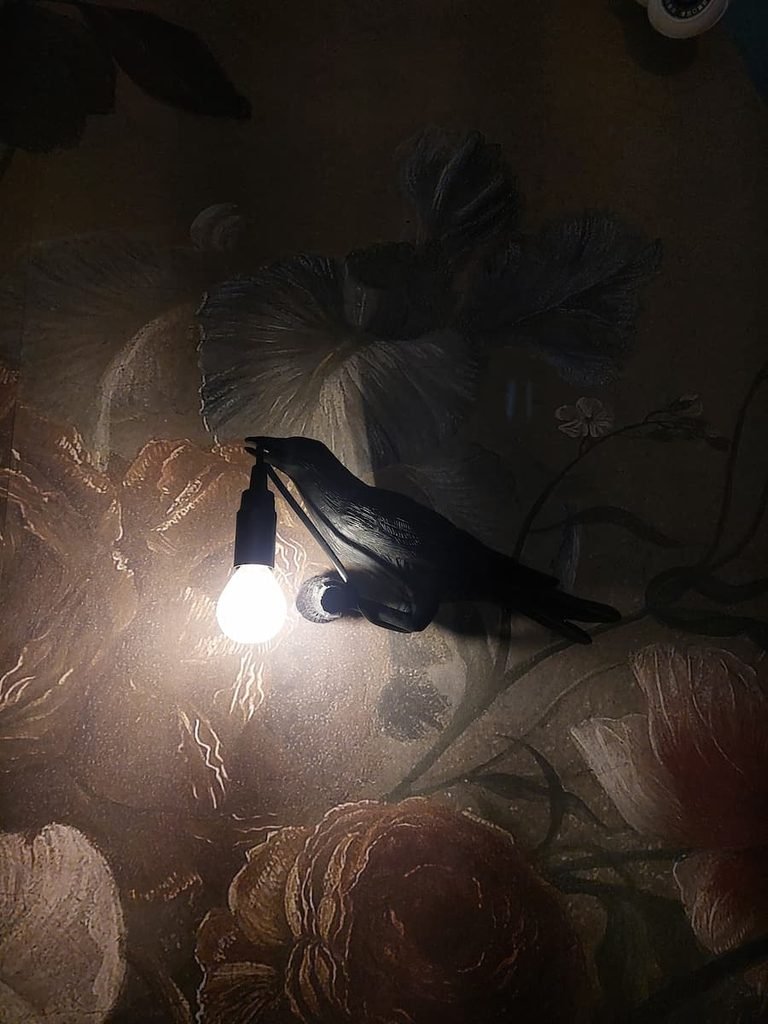 Raven holding a lightbulb lamp