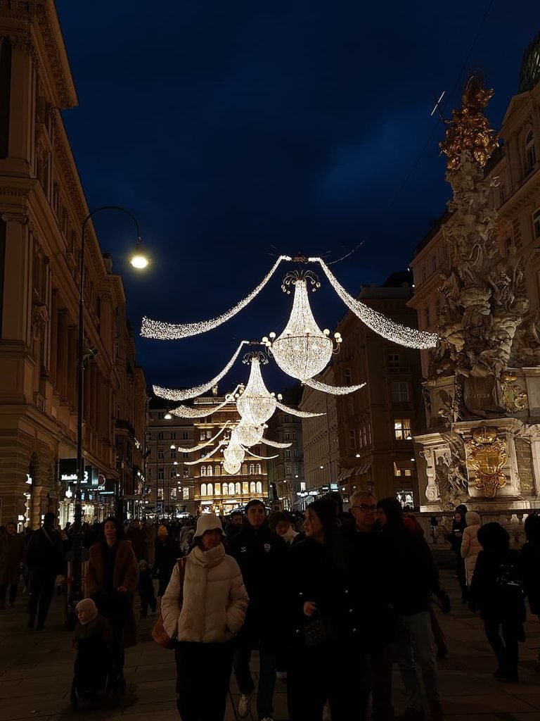Vienna Christmas Markets from Bratislava: Insider Tips 8 Christmas lights in Vienna city centre