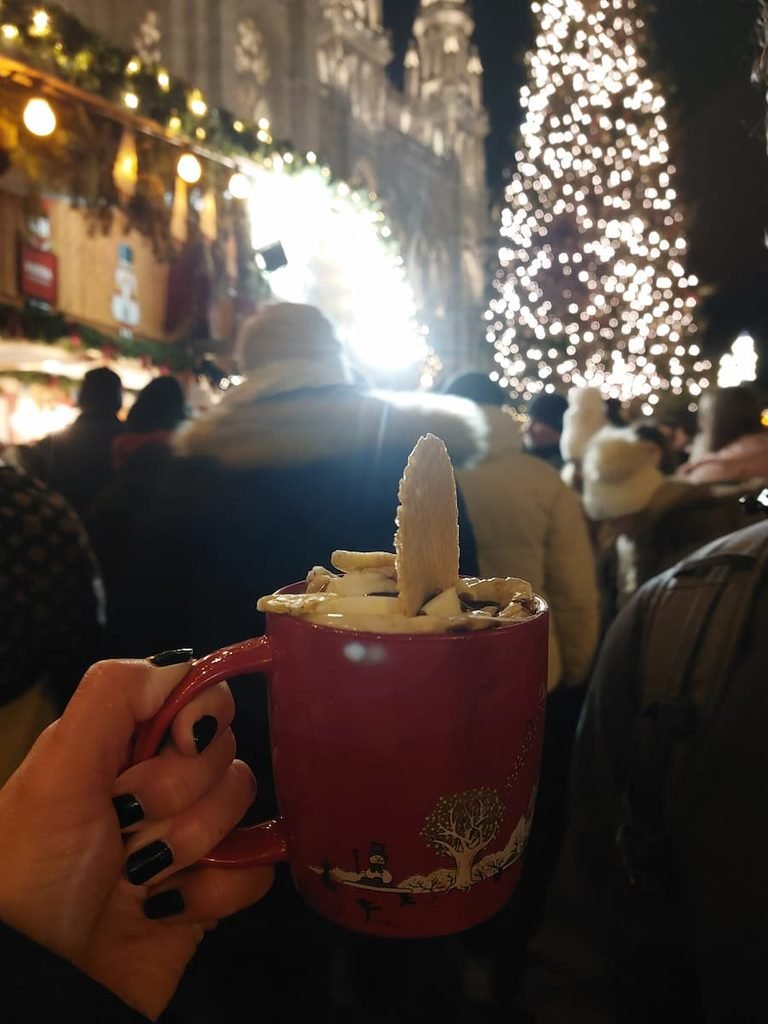 Vienna Christmas Markets from Bratislava: Insider Tips 16 Mug of hot chocolate at the Rathaus Christmas market