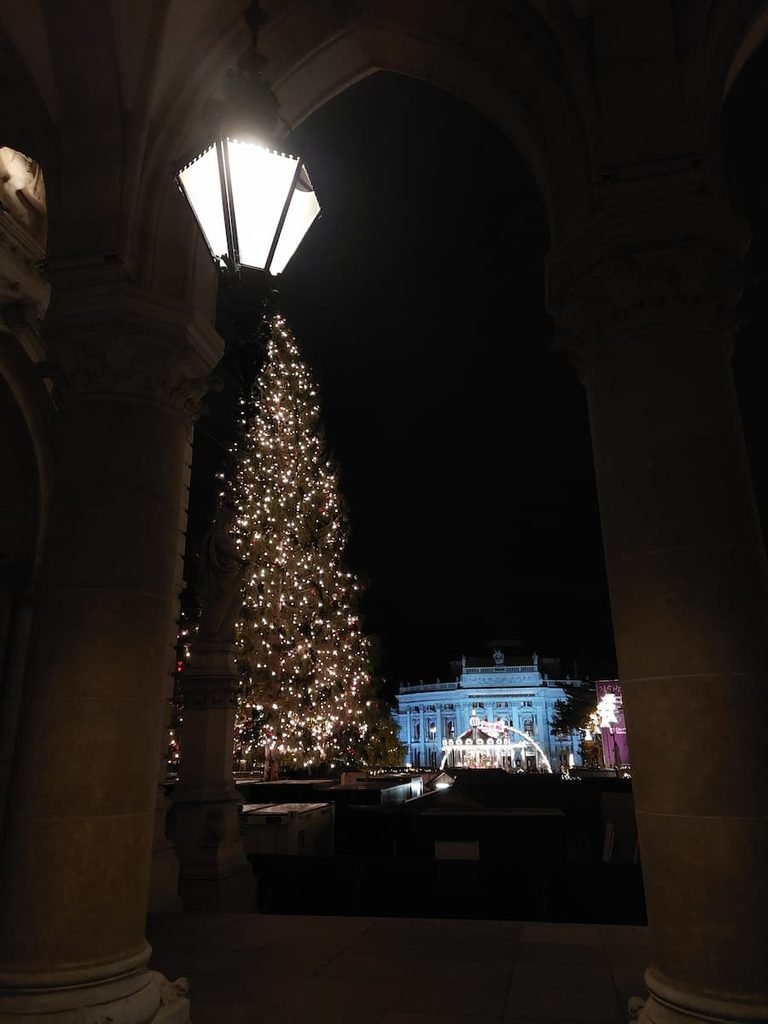 Vienna Christmas Markets from Bratislava: Insider Tips 7 Rathaus Christmas market