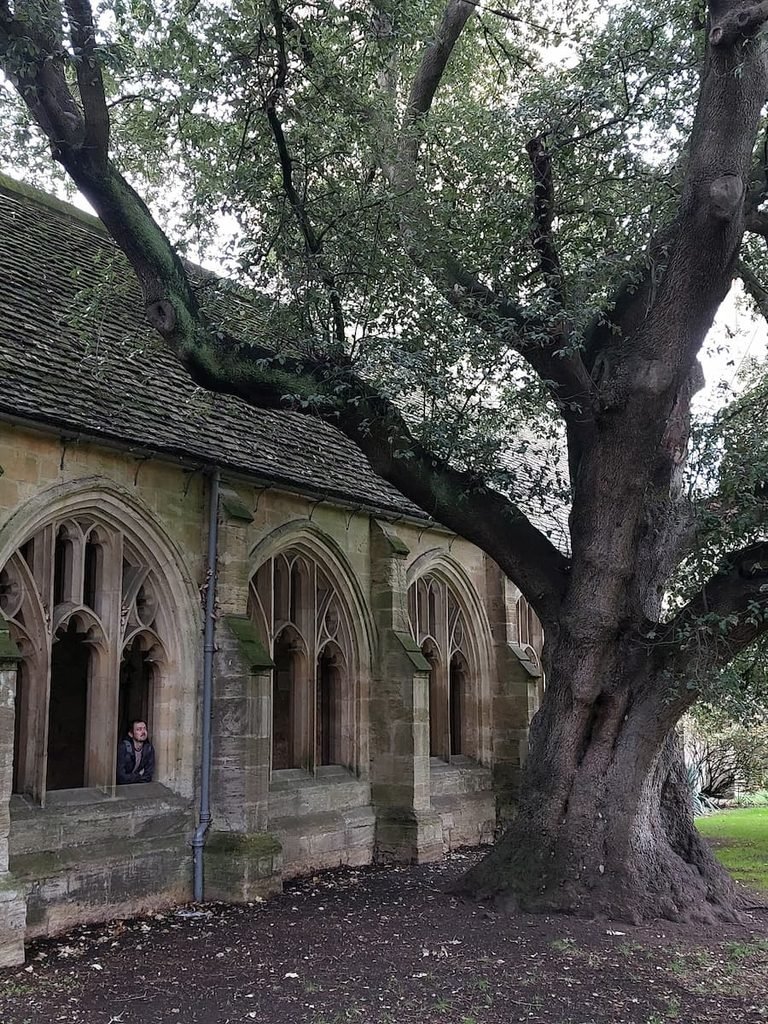 3 Days in Oxford: A Harry Potter & His Dark Materials Itinerary 13 Malfoy's tree in New College